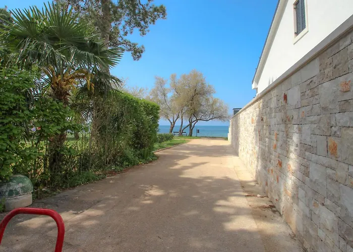 Boris Two Novigrad Istria