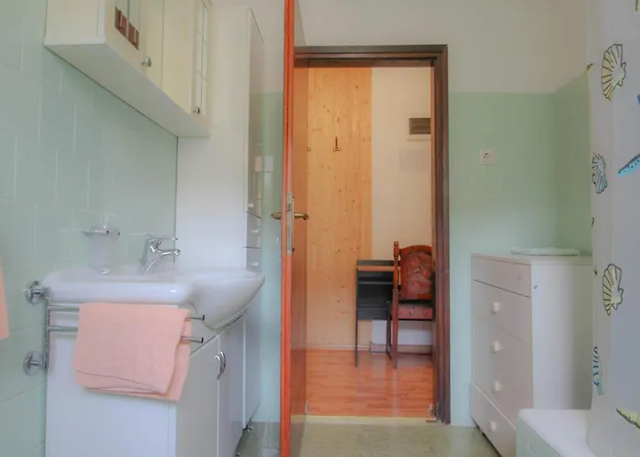 Boris Two Novigrad Istria