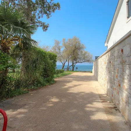 Boris Two Novigrad (Istria)