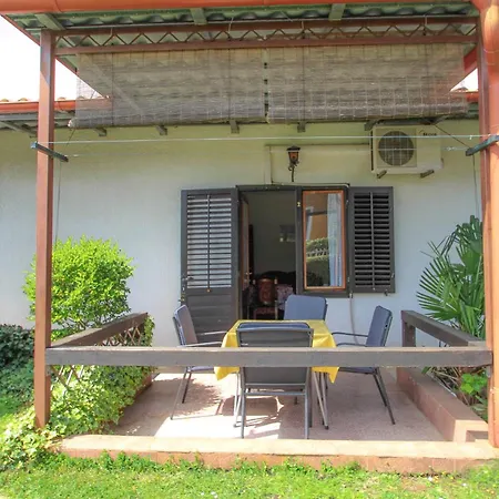 Boris Two * Novigrad Istria